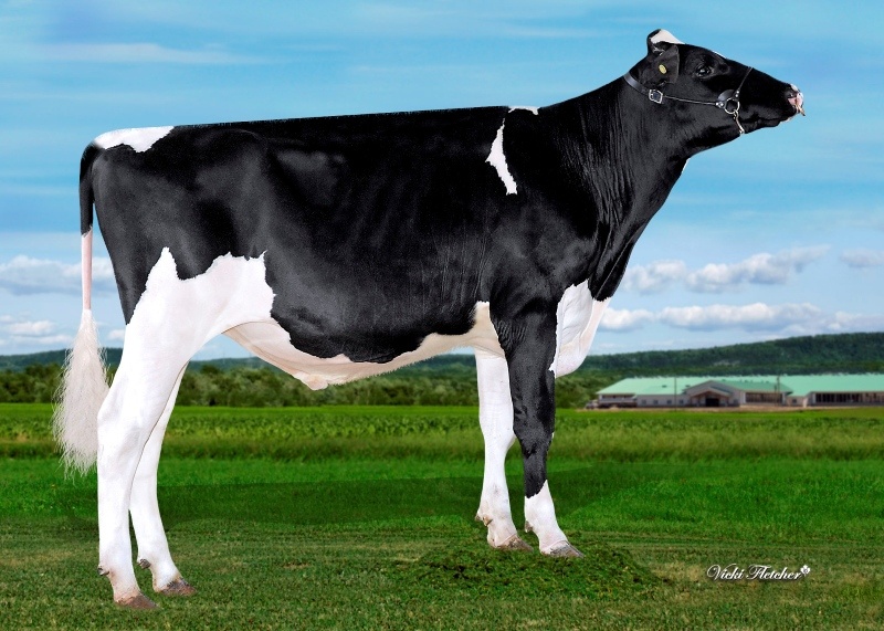 DUCKETT HAVELOCK — 799HO00094
